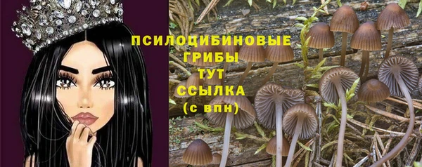 мескалин Аркадак